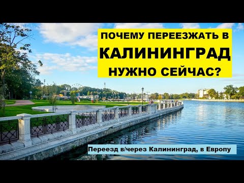 Переезжать в Калининград сейчас выгодно. Почему? Иммиграция в Европу. Плюсы, минусы, работа #19