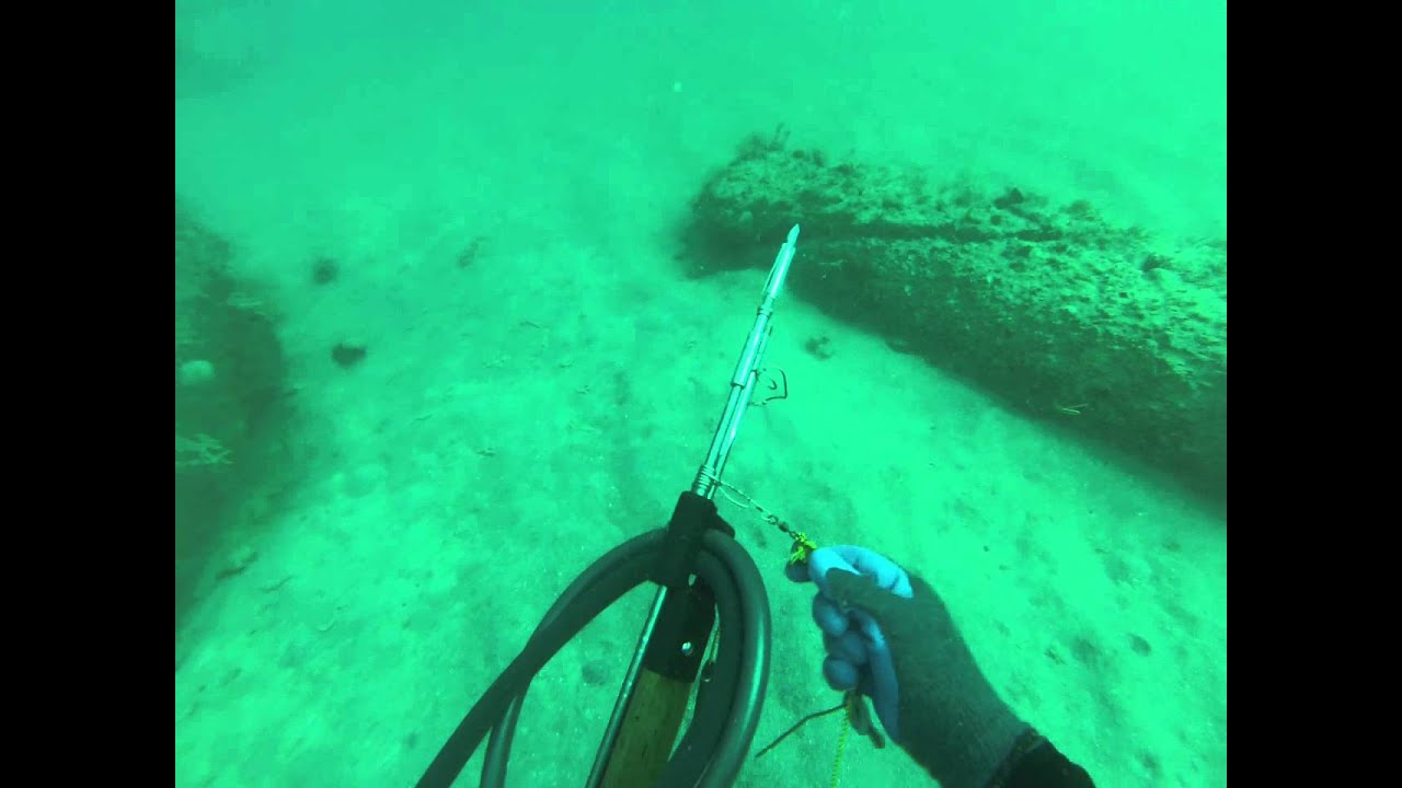 Jeff Steele Dive YouTube