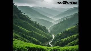 [Music] Rains Of Meghalaya 1Hour ver.