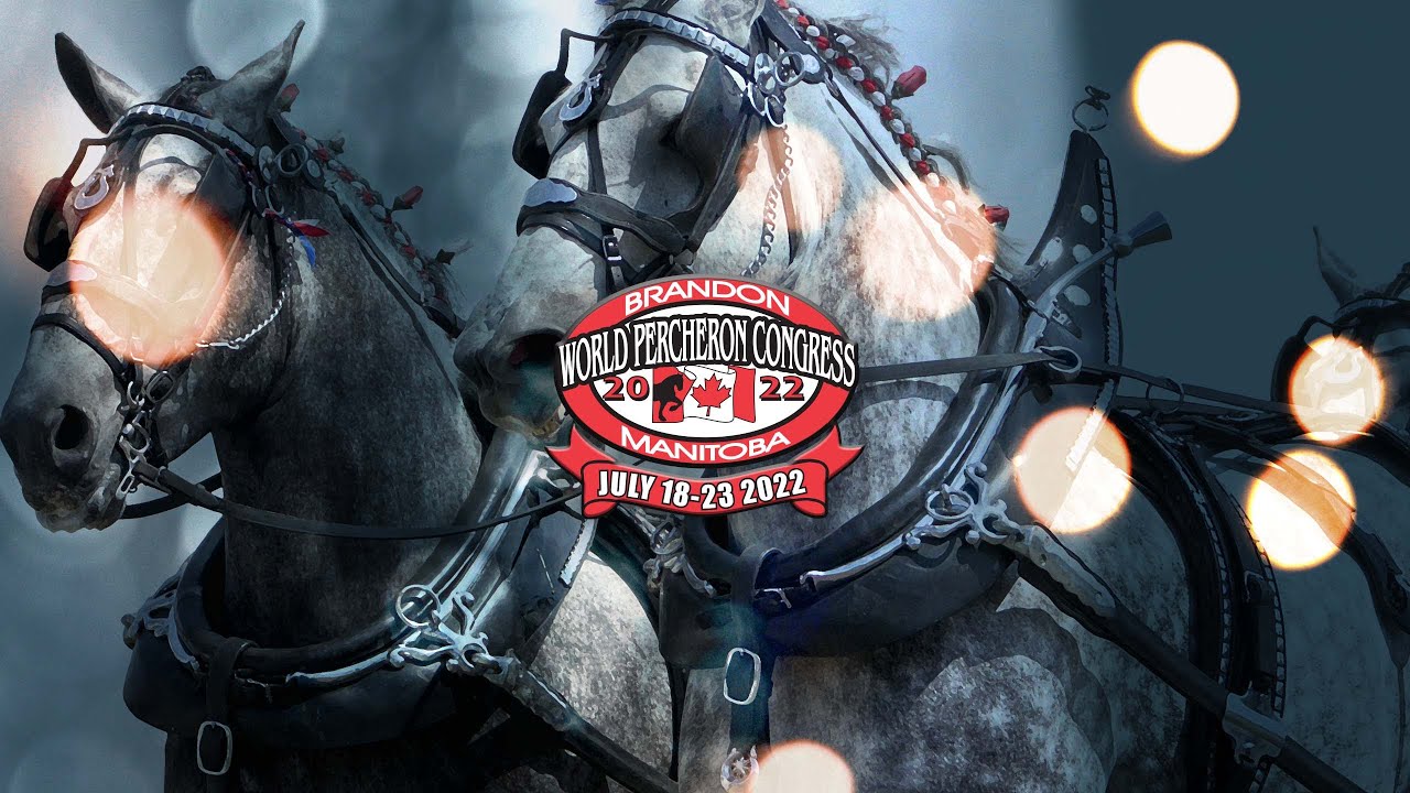 2022 World Percheron Congress Saturday, July 23 Day 6 Afternoon classes