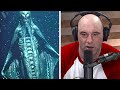 Joe rogan breaks silence on nasas terrifying underwater discovery