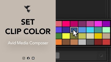 SET CLIP COLOR - TUTOTIPS AVID MEDIA COMPOSER