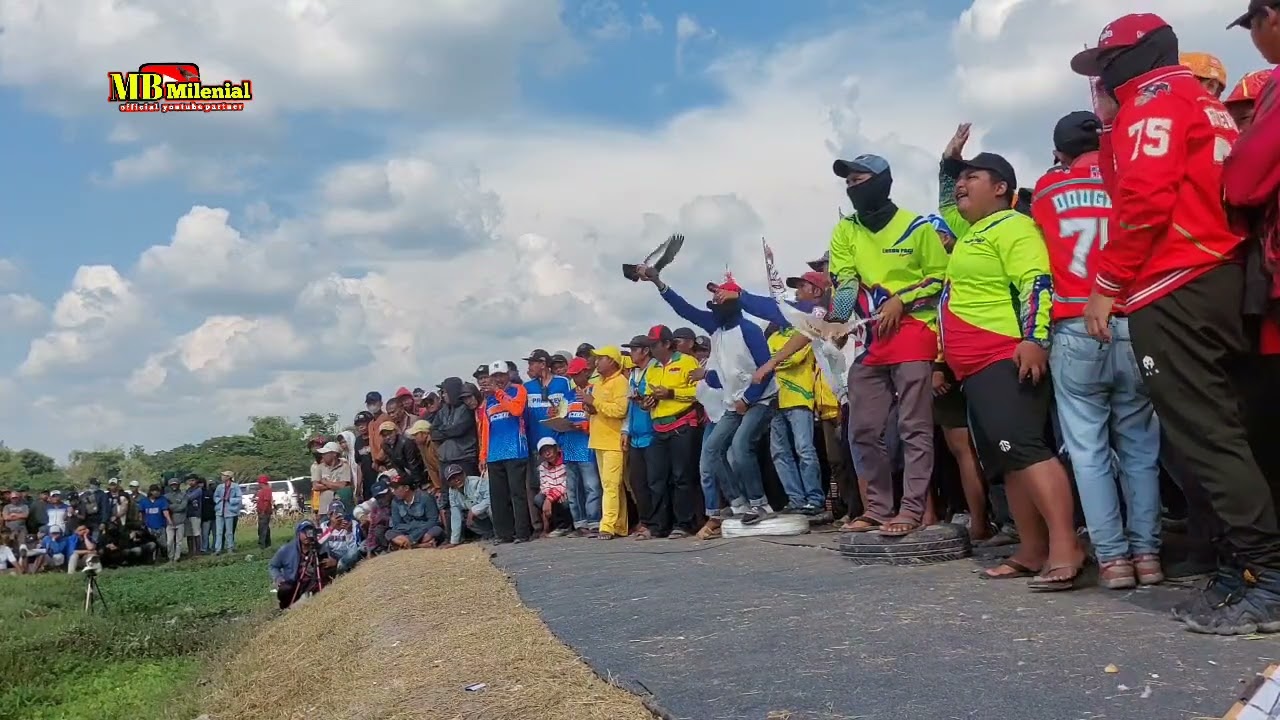 Babak ke dua sampai final lomba utama merpati balap nasional klaten 2025