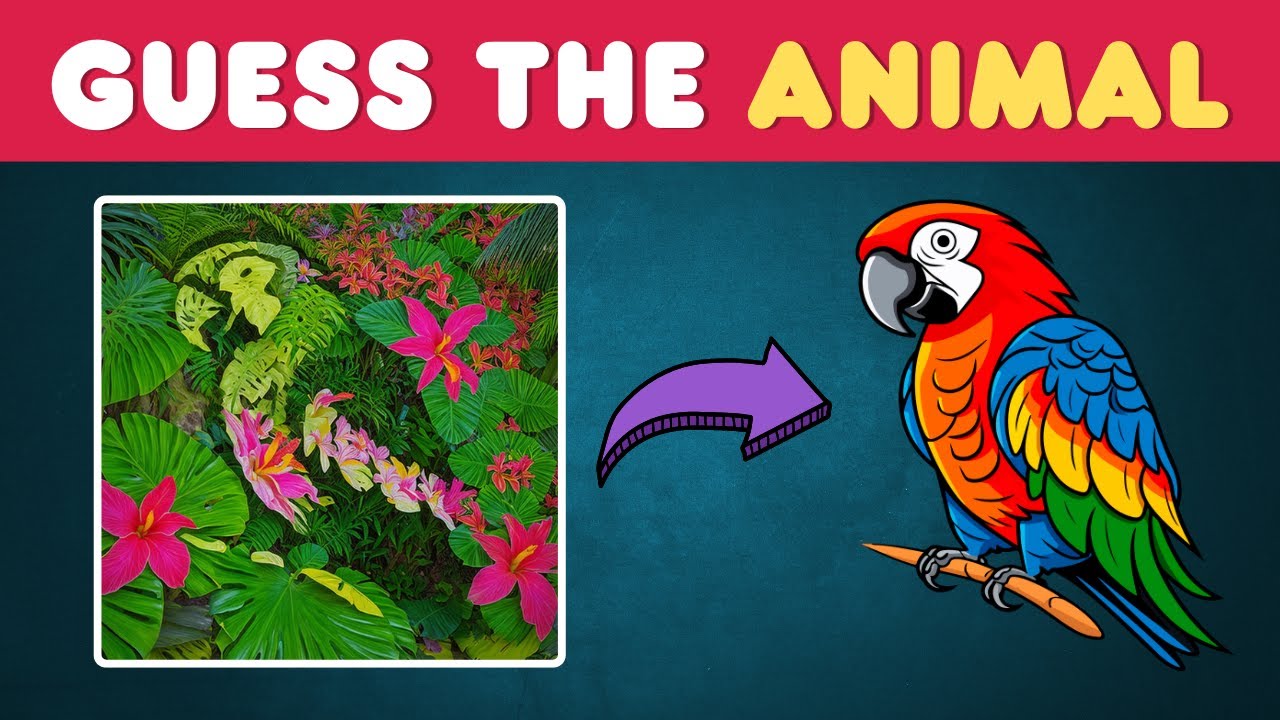 Ultimate Hidden Animals and Optical Illusions Challenge | Can You Find Them All