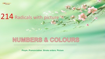 214 Chinese Radicals with picture and stroke order animation - Topic NUMBERS AND COLOURS