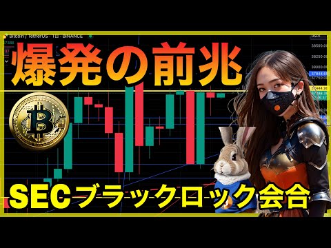 【BTC,XRP,AVAX分析】SECブラックロック会合でビットコインETF承認間近！ 仮想通貨