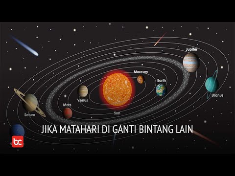 Video: Bagaimana Bonya, Karpovich Dan Bintang-bintang Lain 