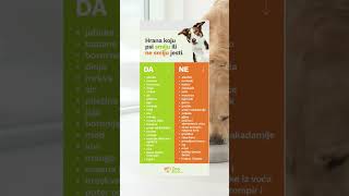 🐕 Hrana koju psi smiju ili ne smiju jesti.📲 Save it! #zoodirect #dogs #dogfood #pet #psi #ljubimci