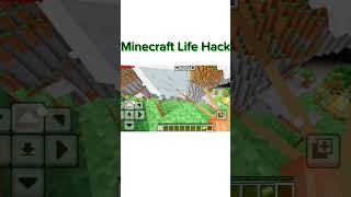 Minecraft Life Hack 😤 #minecraft #minecraftshorts #gaming #viral #ytshorts #minecraftmemes
