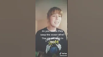 Tik Tok Adrianswife Global Warming Song Climate Change Song Tiktok 2020 Click Subscribe 