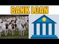 शेळीपालनासाठी बँकेतुन कर्ज कसे काढायचे Bank Loan For Goat Farming