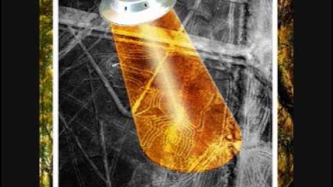 Misty Oldland - 4. Orange Fox (Forest Soul)