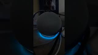 Alexa Has a Stroke (Yes it's possible.) screenshot 1