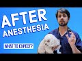 What to Expect After General Anesthesia