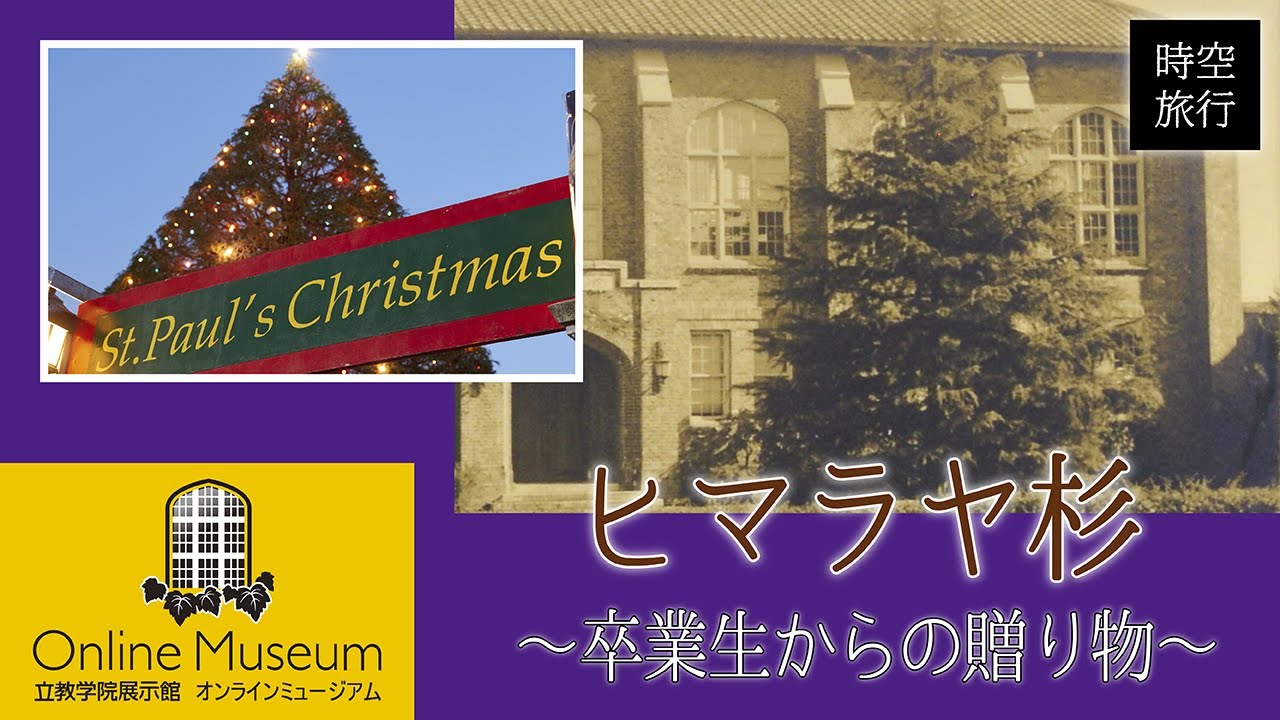 立教 時空旅行 3 立教大学池袋キャンパスのヒマラヤ杉 卒業生からの贈り物 立教学院展示館オンラインミュージアム Youtube