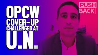At UN, Aaron Maté debunks OPCW’s Syria lies and confronts US, UK on cover-up