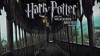 Rainy Day At Hogwarts Wooden Bridge Asmr Ambience Relaxing Rain Sounds & Soft Music