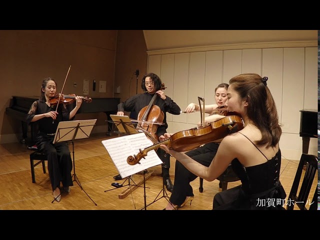 SP仏盤4枚組ベートーヴェン カペー弦楽四重奏曲第10番作品op74 Beethoven: String Quartet No. 10, Op. 74 