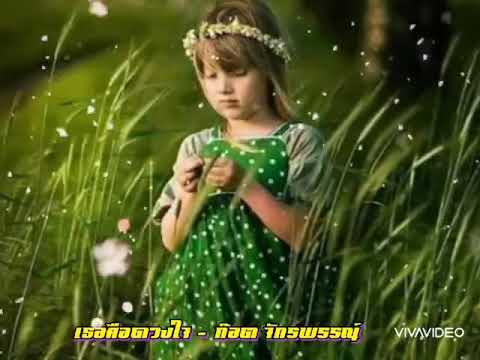 เธอคือดวงใจ - ก๊อต จักรพรรณ์ อาบครบุรี
