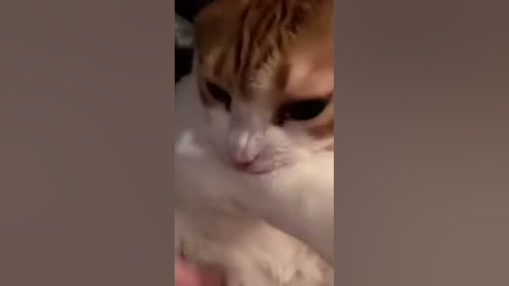 Котик просто хотел поспать но на него напали!(