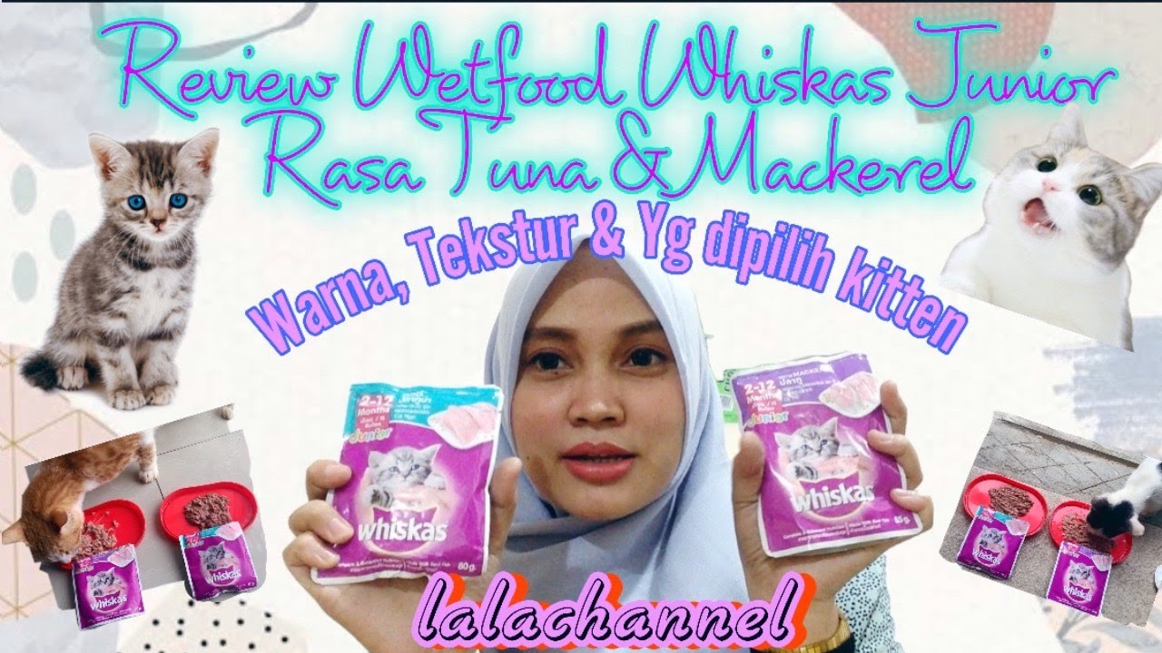 Review Whiskas Junior Wetfood Tuna & Mackerel warna, tekstur dan yg dipilih duluan sama kucing
