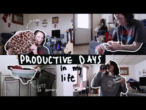 PRODUCTIVE DAYS IN MY LIFE | h&m haul, cleaning, a KIDNEY STONE???
