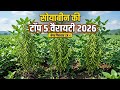 सोयाबीन की टॉप 5 वैरायटी 2026 🌿 | सबसे ज्यादा पैदावार देने वाली किस्में | Top 5 Soyabean Variety