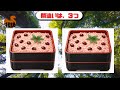 【間違い探しクイズ】みんなは何問できた? 初級〜上級までチャレンジ‼️