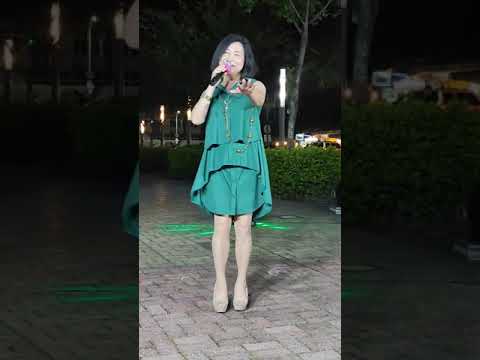 2023.6.23 呂淑君《水車姑娘》原唱 方瑞娥 (耀幸符樂團) 嘉義街頭藝人