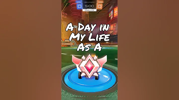 A Day in My Life as a Grand Champion