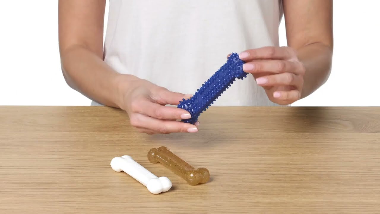 Nylabone Puppy Starter Kit – 3-Piece Dental Chew Bones for Teething Puppies