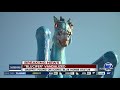 Denver airport confirms 'Blucifer,' large blue horse sculpture by airport, was vandalized