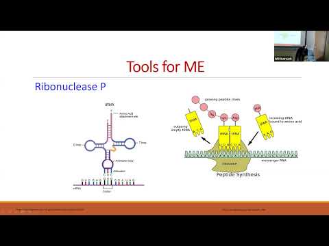 Metabolic engineering: Enhancing