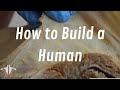 How to Build a Human | The Anatomy of Connective Tissue