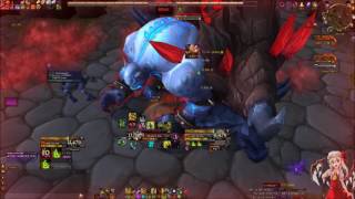Solo: Mythic Tectus (!!!)