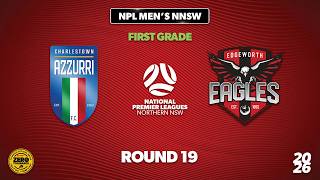 NPL Men's NNSW First Grade Round 19 - Charlestown Azzurri v Edgeworth Eagles