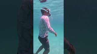 🏝️Cómo se PESCAN las ALMEJAS CHOCOLATAS 🏝️ La Paz Baja California Sur.