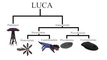 Life Around A Red Dwarf S1E1 - Emergence On Nusku