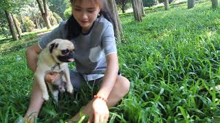 Wow Amazing Beautiful Girl Playing With Dog Smart & Funny Dog