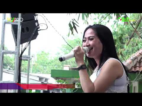 SERAUT WAJAH | Evie Tamala | Cover Fitri Handayani | Best Music