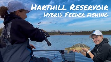 Hybrid Feeder Fishing - Harthill Reservoir 