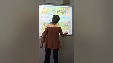 Micro lesson. Reading and writing lesson with technology enriched.