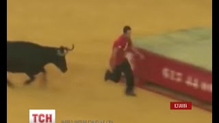 В Іспанії під час кориди розлючений бик залишив без штанів чоловіка у червоній футболці