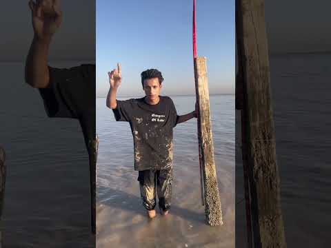 من البحر إلى نحر فسفس