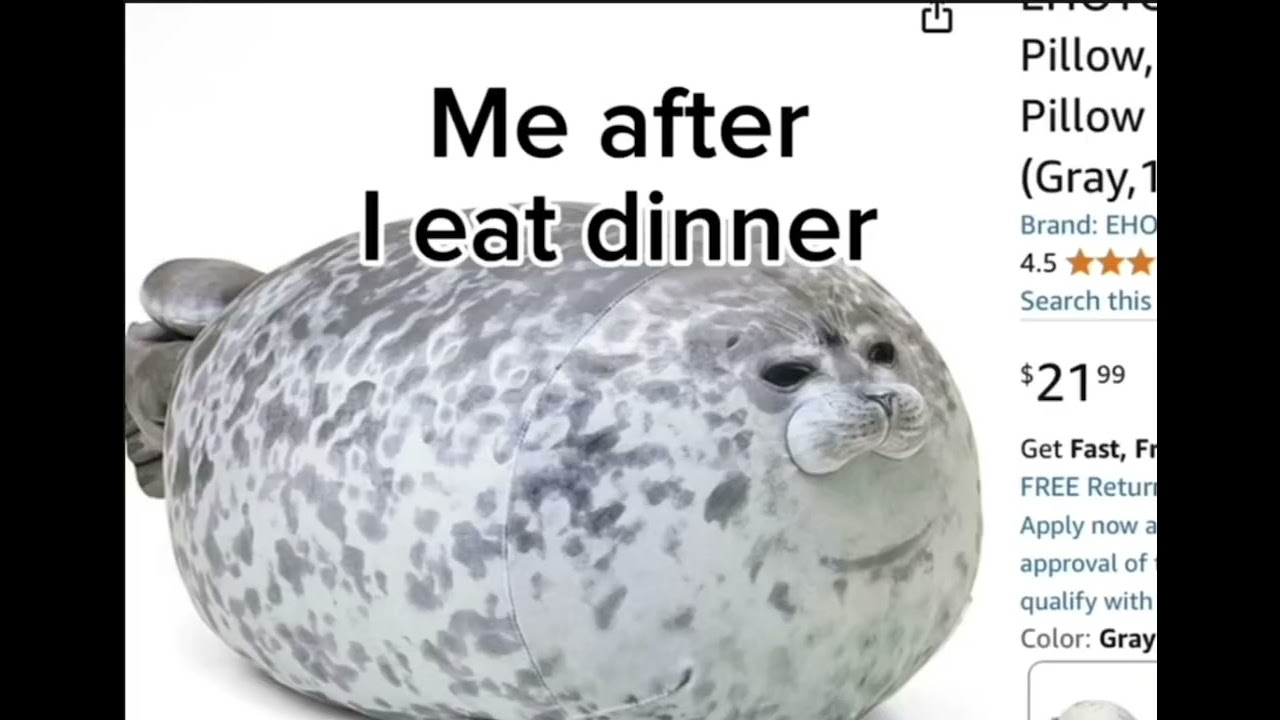 Fat seal official song ((ft: 