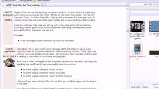 Goals Objectives Plans Strategies Tactics in the context of a student's future