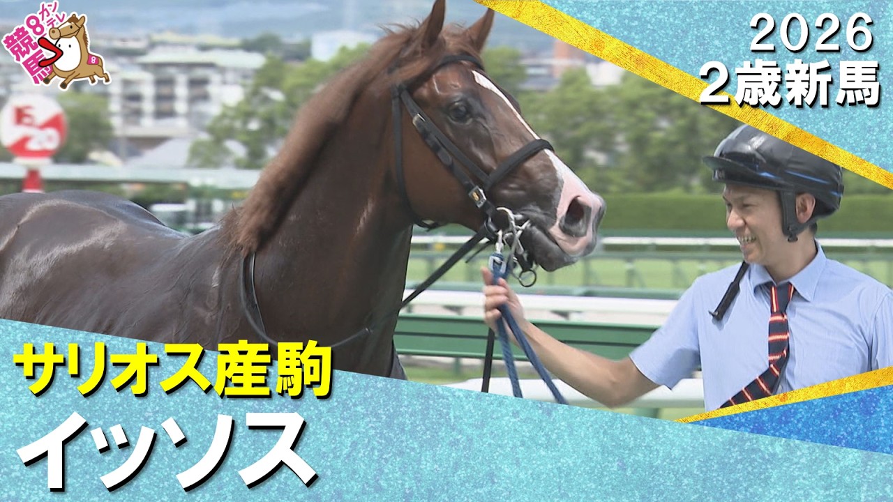 関連動画2