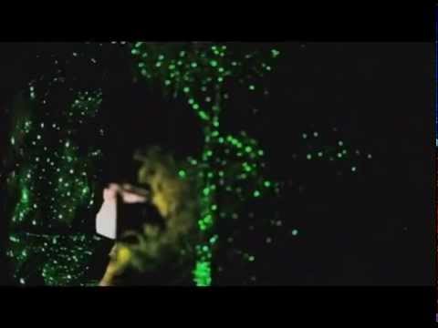 Green Blisslights Spright Firefly Laser Outdoor Projector You Green Blisslights Spright Firefly Laser Outdoor Projector