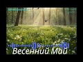 🌿 «Первомай» — сказочная весенняя песня от VLAD LIT 🌿