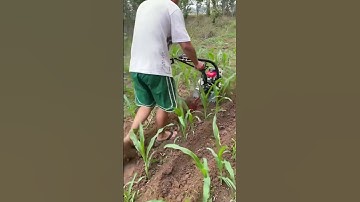 Small gasoline micro tillage machine Weeding machine.